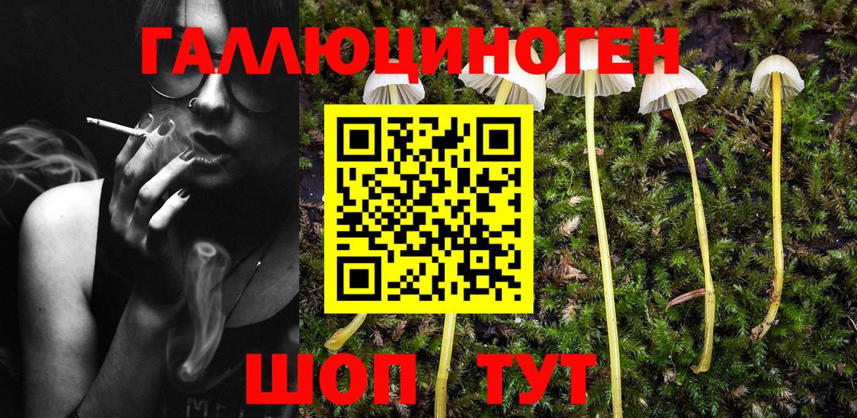 Галлюциногенные грибы Magic Shrooms Свободный