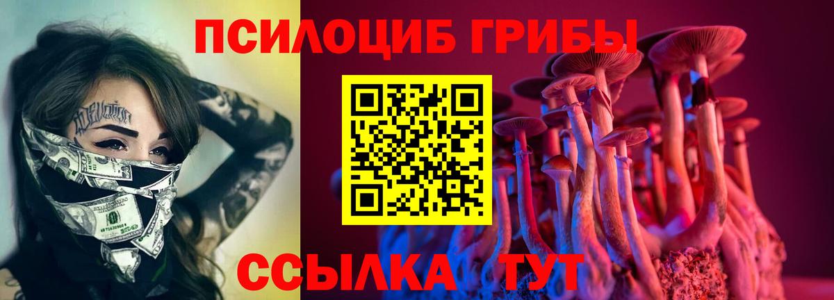 Псилоцибиновые грибы ЛСД  Вход с VPN  Свободный 
