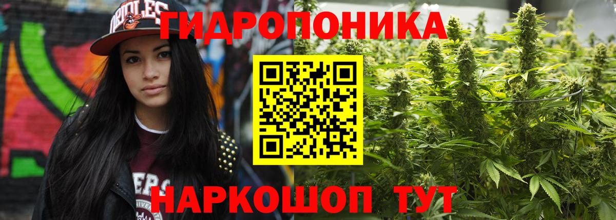Свободный  Бошки марихуана гибрид  Бошки марихуана AK-47  Вход с VPN 